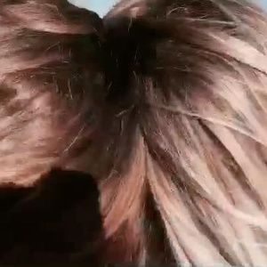 Meet your Posher, Taylin